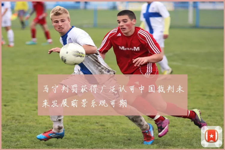 马宁判罚获得广泛认可中国裁判未来发展前景乐观可期