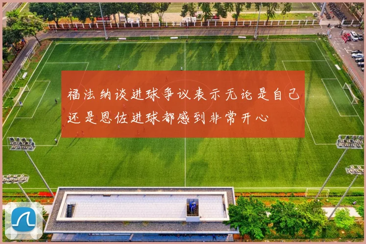 福法纳谈进球争议表示无论是自己还是恩佐进球都感到非常开心