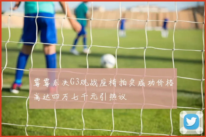 霉霉东决G3观战座椅拍卖成功价格高达四万七千元引热议